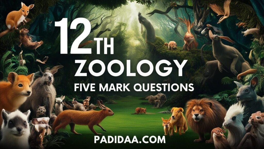 12Th zoology important five mark questions, 12th zoology study material,12th zoology guide,12th zoology pdf download,12th zoology book