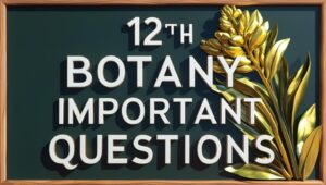 12th botany important questions, 12th botany guide,12th botany study material,12th botany important questions pdf download